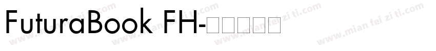 FuturaBook FH字体转换